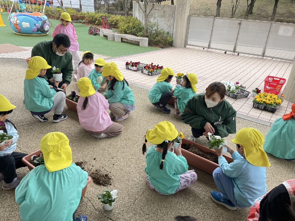 色とりどり🌷(年長)