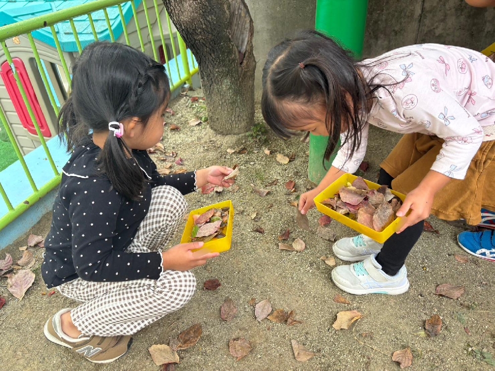 🍂ふりかけパラパラ🍂（年少）