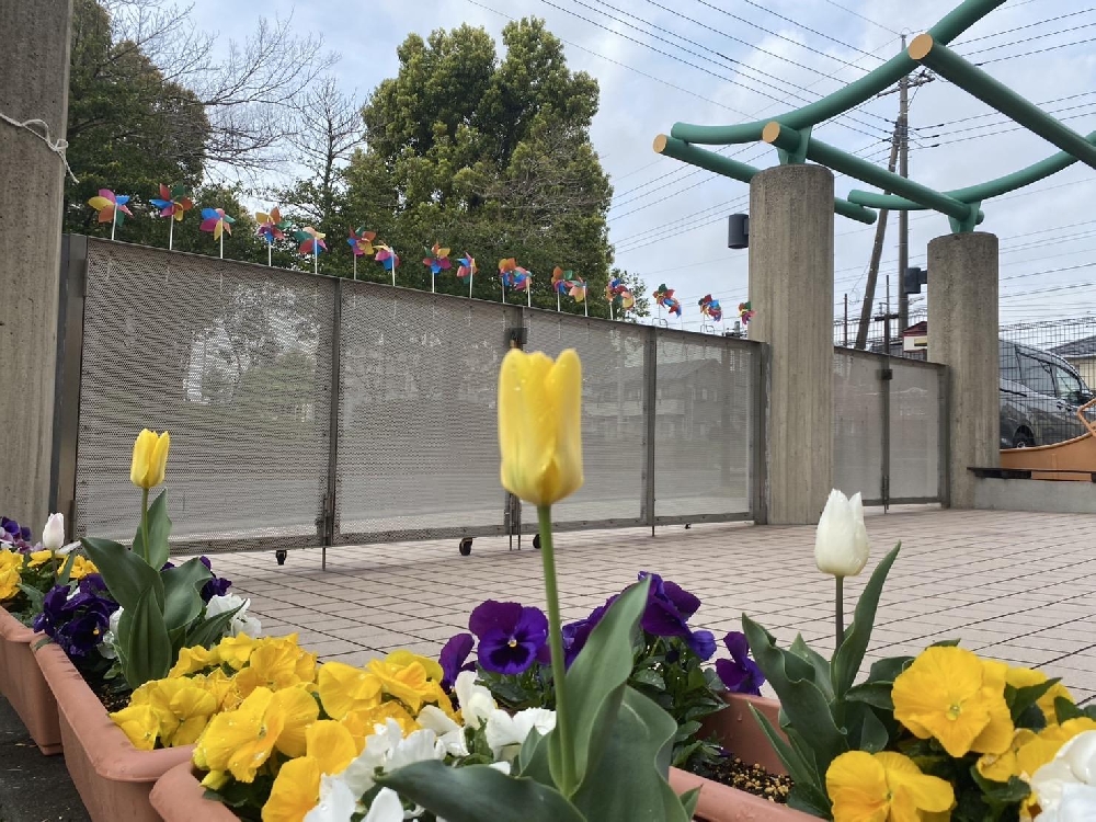 新しい毎日の始まり🌸（年少）