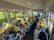 良い天気！☀️🐠（年長）